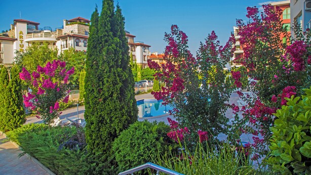A residential area with a pool, lush greenery, and multi-story buildings. - Anthony Complex (Sveti Vlas)