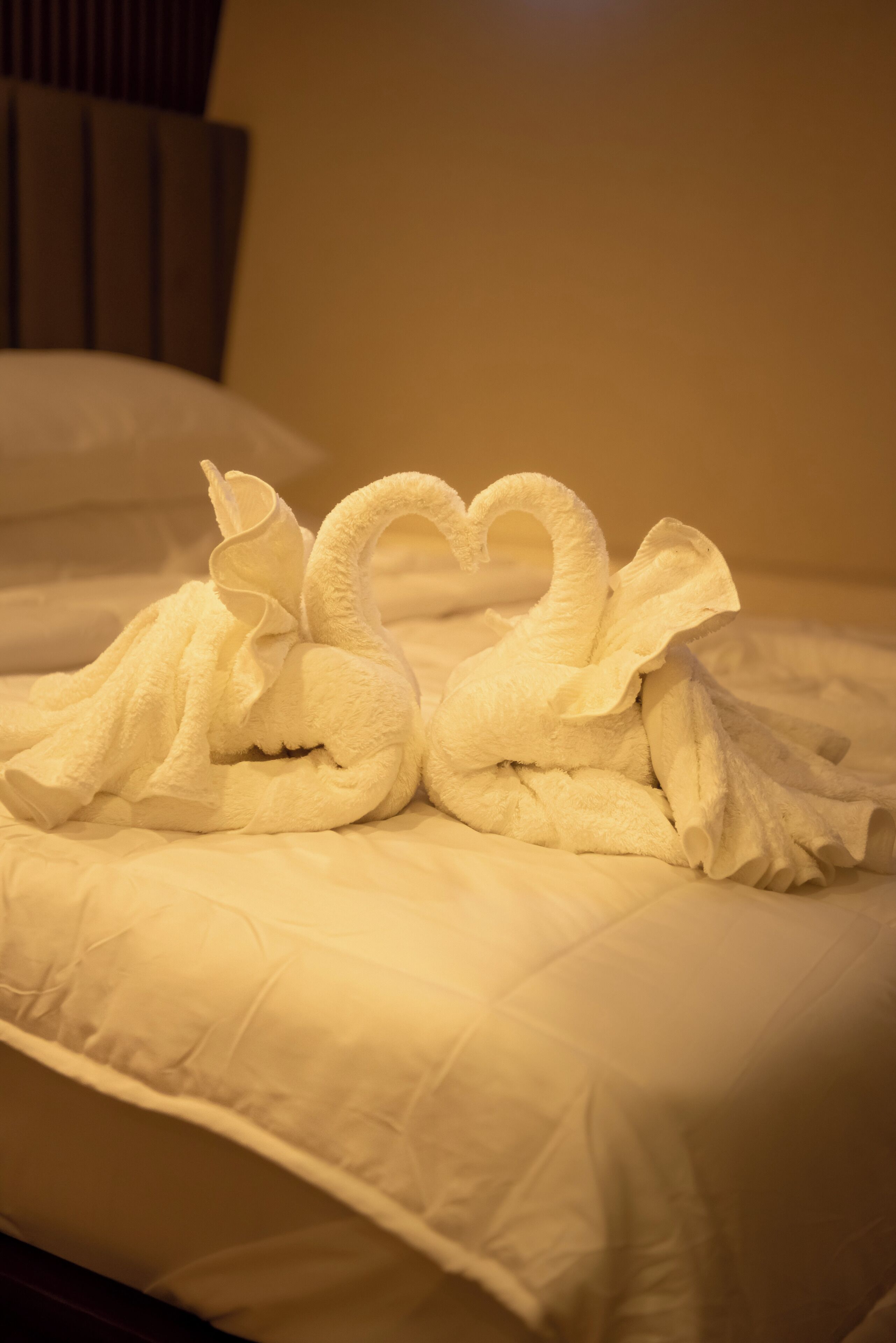 Luxury Double Room | Miscellaneous