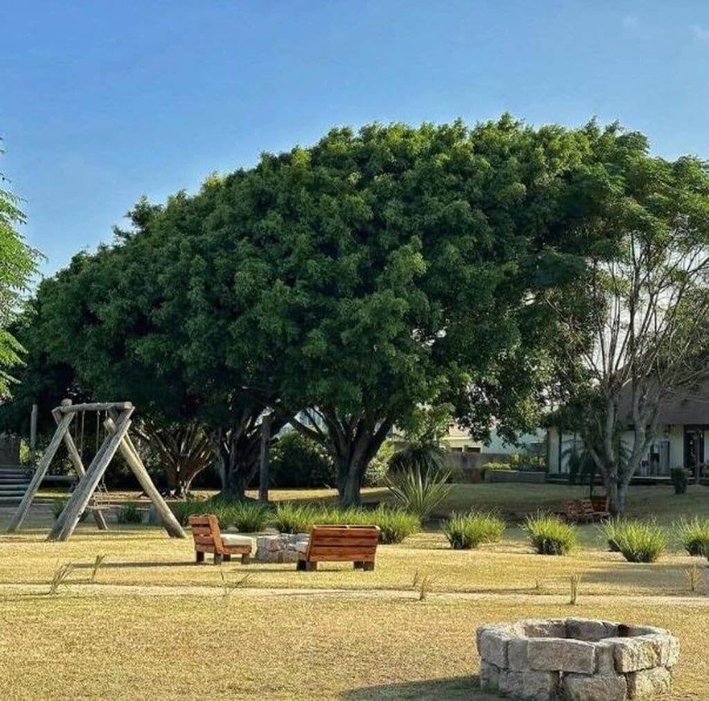 Terrein van de accommodatie