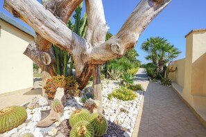 Un jardin de cactus avec un grand tronc d’arbre, différentes espèces de cactus et un chemin pavé.
