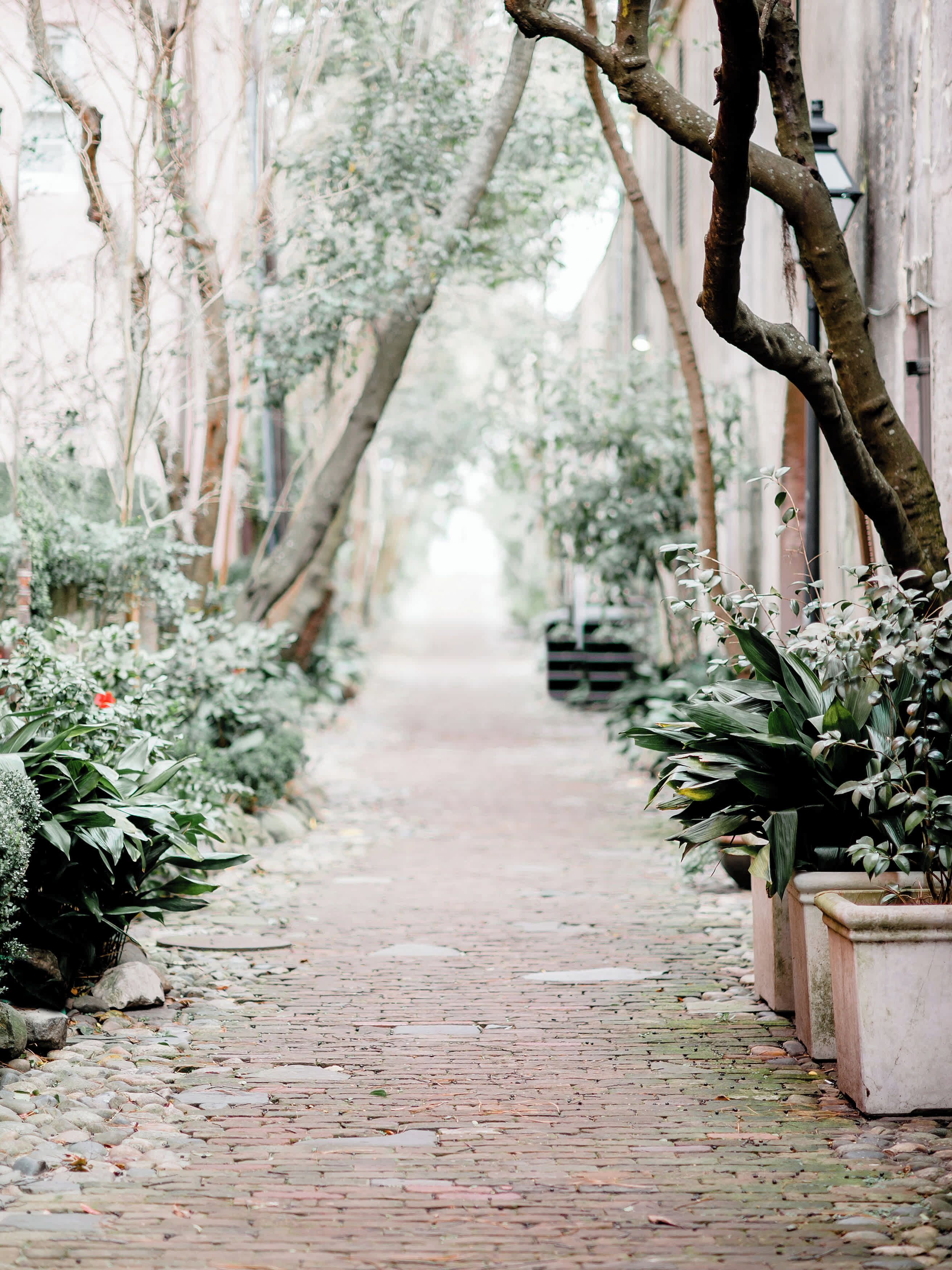 A brick pathway flanked by potted plants and trees, leading to a distant building.
