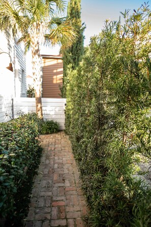Property grounds - Charleston Charm: Cozy 1BR Apartment with Patio (Charleston)