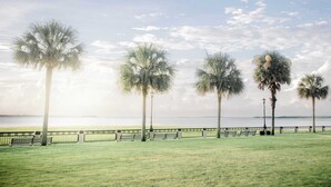 A park with palm trees, benches, and a view of the water. - Charleston Charm: Cozy 1BR Apartment with Patio (Charleston)