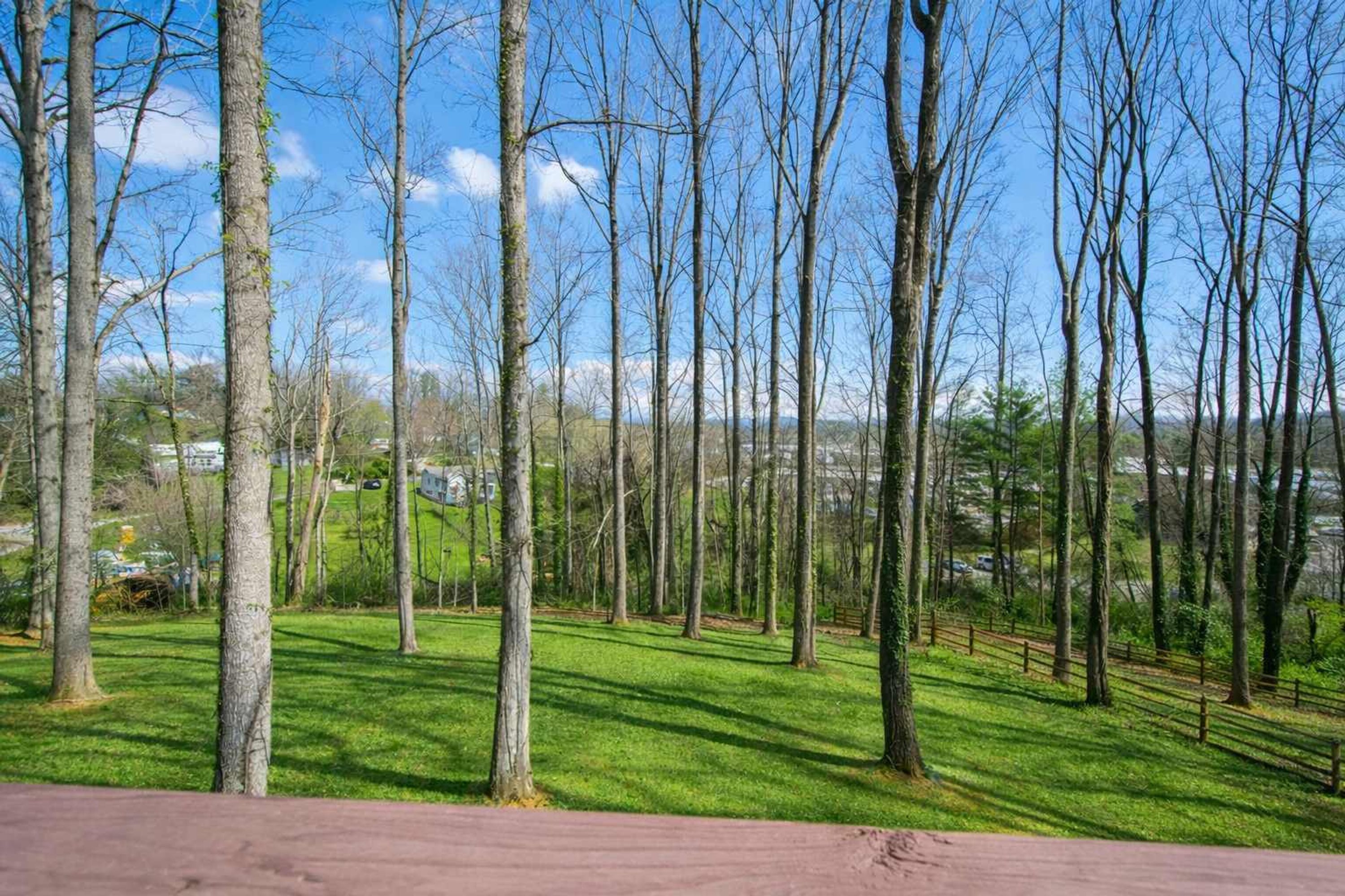A park with tall trees and a grassy area.