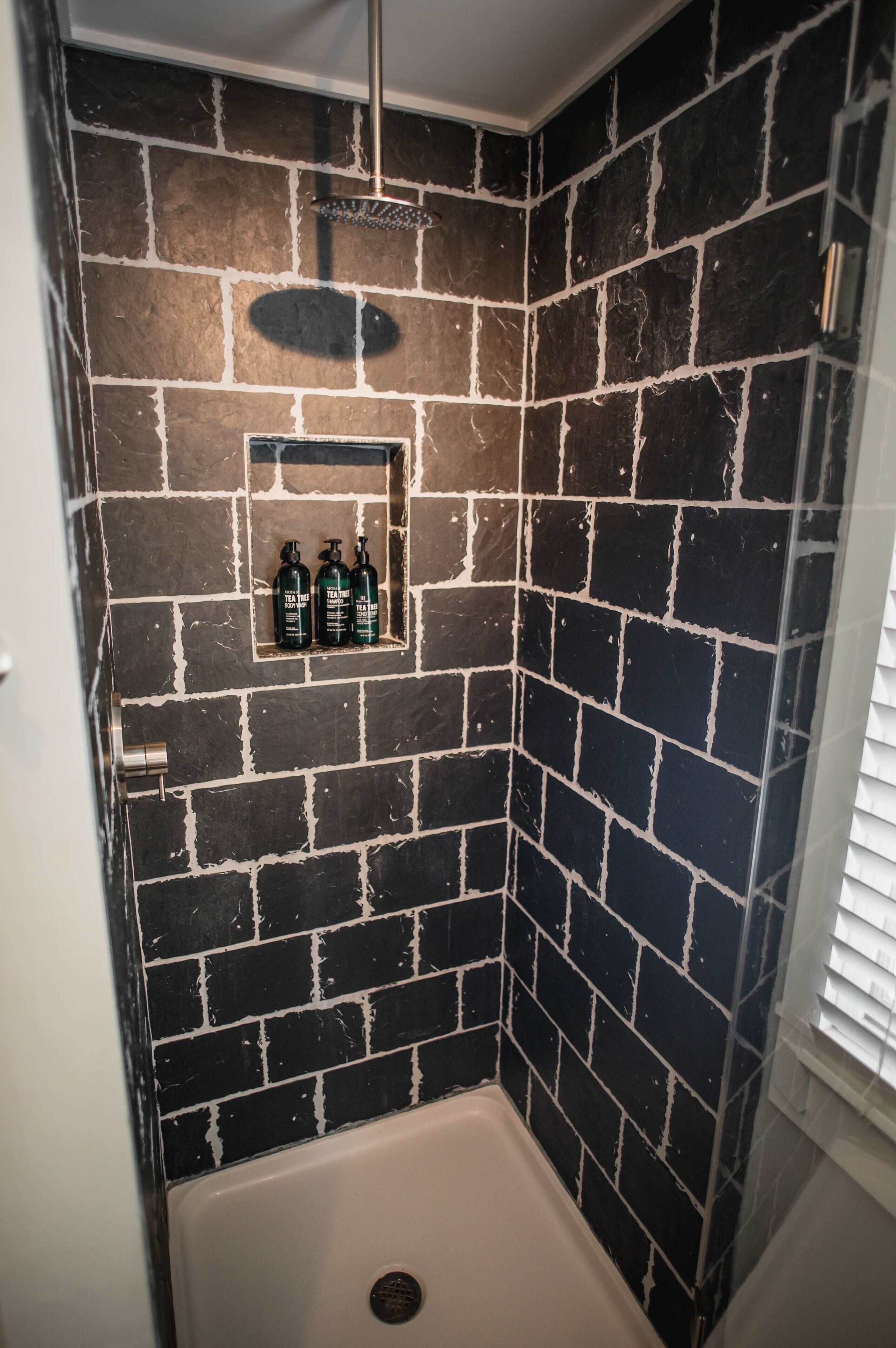 Chuveiro, secador de cabelo, toalhas de banho, shampoo