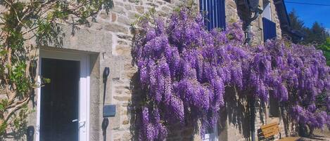 DĂ©tail de lâextĂ©rieur