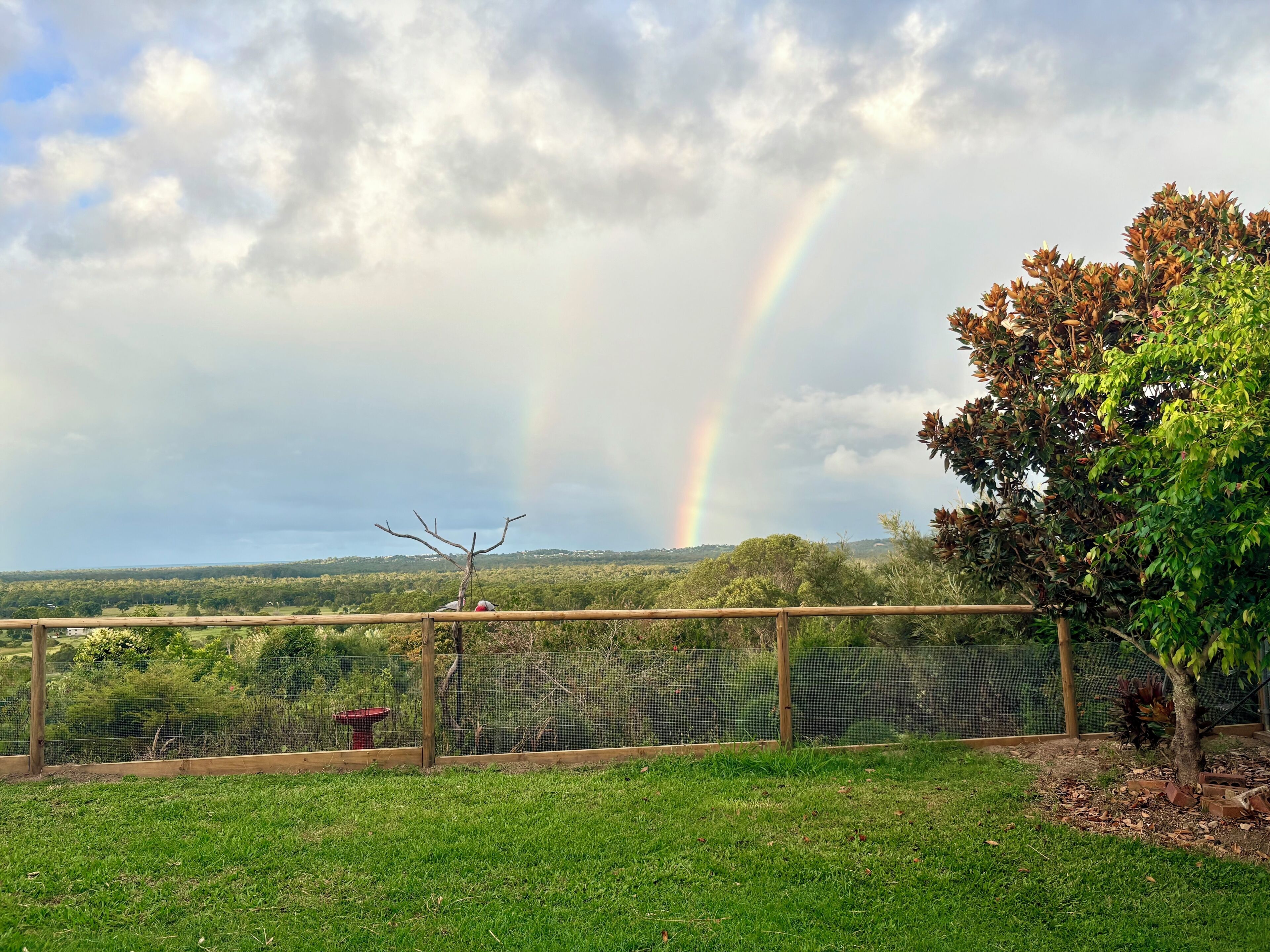 A grassy area with a fence, trees, and a distant view of a landscape.