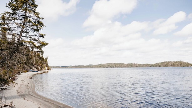 Un lac paisible avec une plage de sable, entouré d’arbres et bordé de collines au loin.