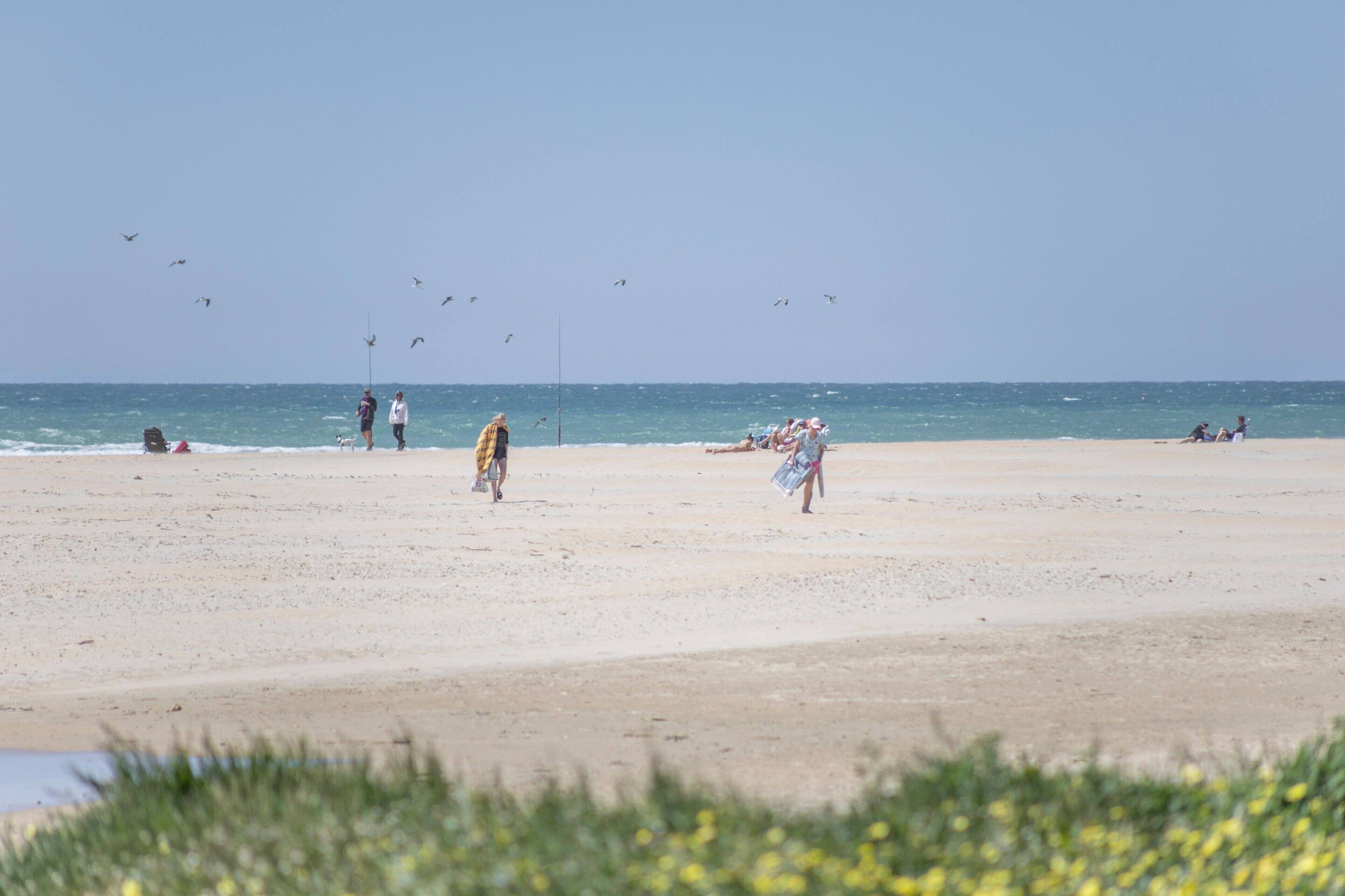 Une plage avec des gens, un bateau et un ciel dégagé.