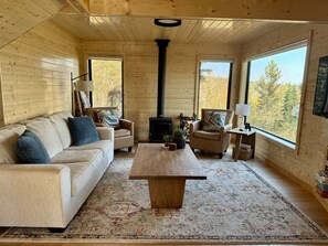 TV, fireplace - New Cabin Overlooking Lake Superior! (Silver Bay)