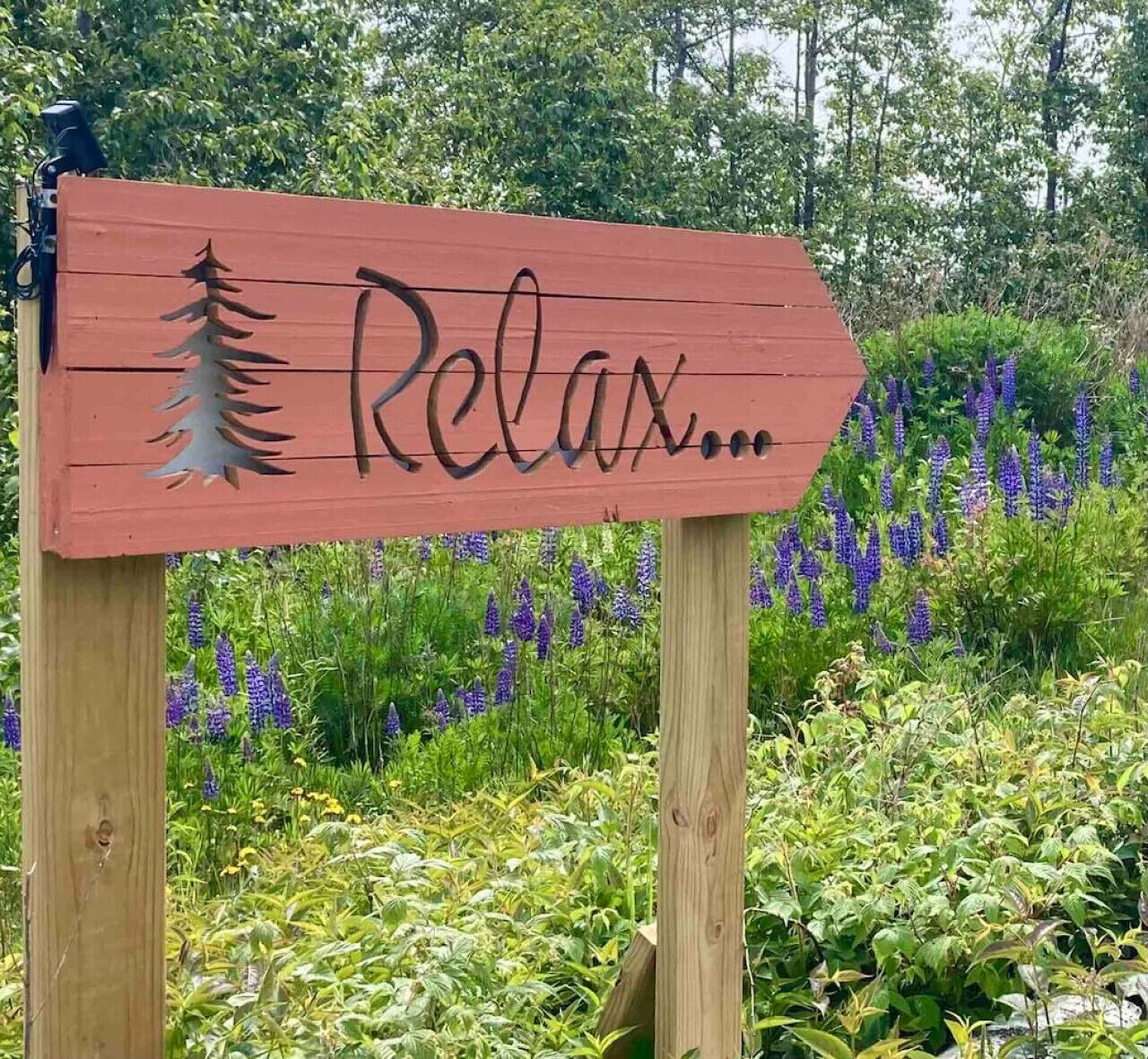 A wooden sign with the word 'Relax...' and a pine tree silhouette.