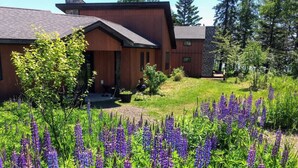 A modern house with a wooden exterior, surrounded by a garden with purple flowers.