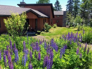 Een modern huis met een houten gevel, omringd door een tuin met paarse bloemen.