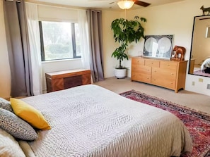 Une chambre à coucher avec un lit, une commode, une plante en pot, une fenêtre avec des rideaux et un ventilateur de plafond.
