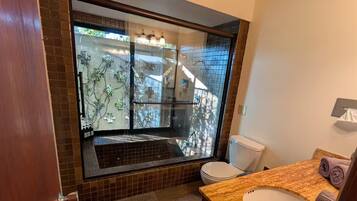A modern bathroom with a large glass shower, a wooden vanity, and a view of a balcony.