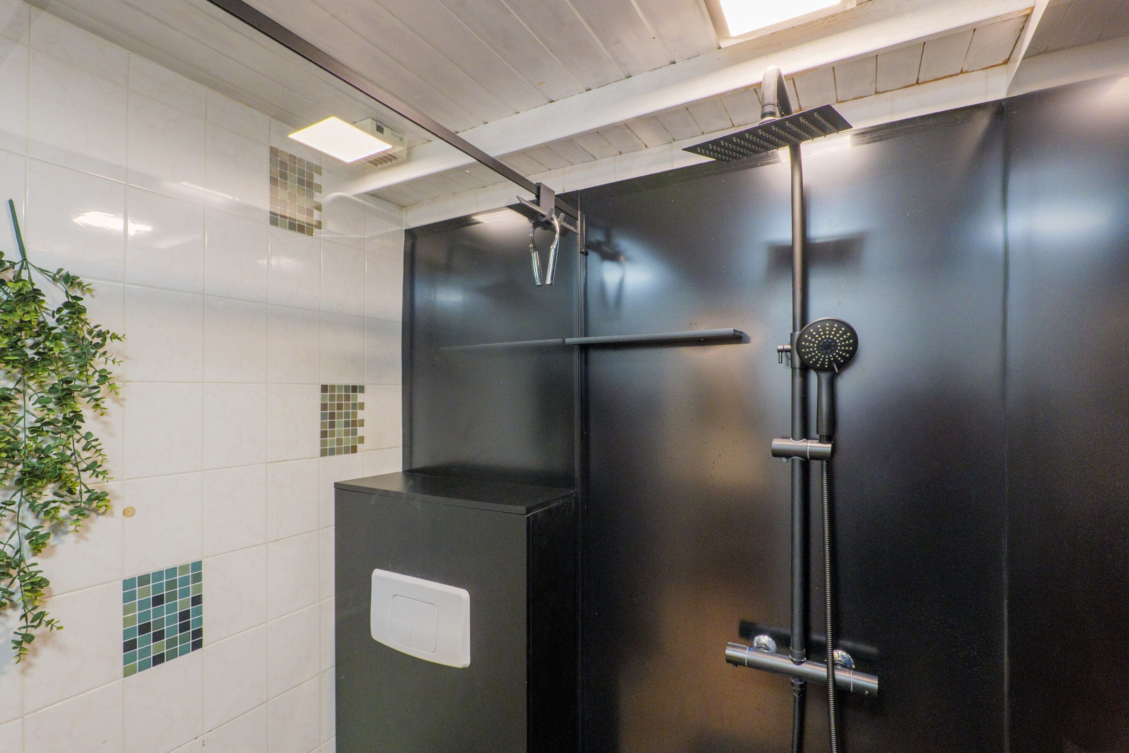 A bathroom with a shower, tiled walls, and a plant.