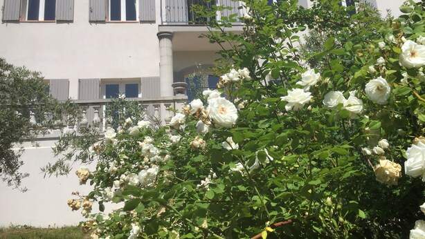 A building with a white facade, multiple windows with shutters, and a balcony with a balustrade. - Charming bed and breakfast in Giono country. (Manosque)