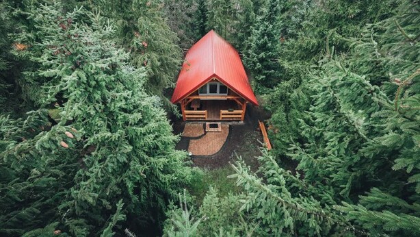 A cabin surrounded by dense evergreen forest. - Ranczo Targówka - Wooden Cabin 1 with Sauna (Miłaczewskie Młyny)