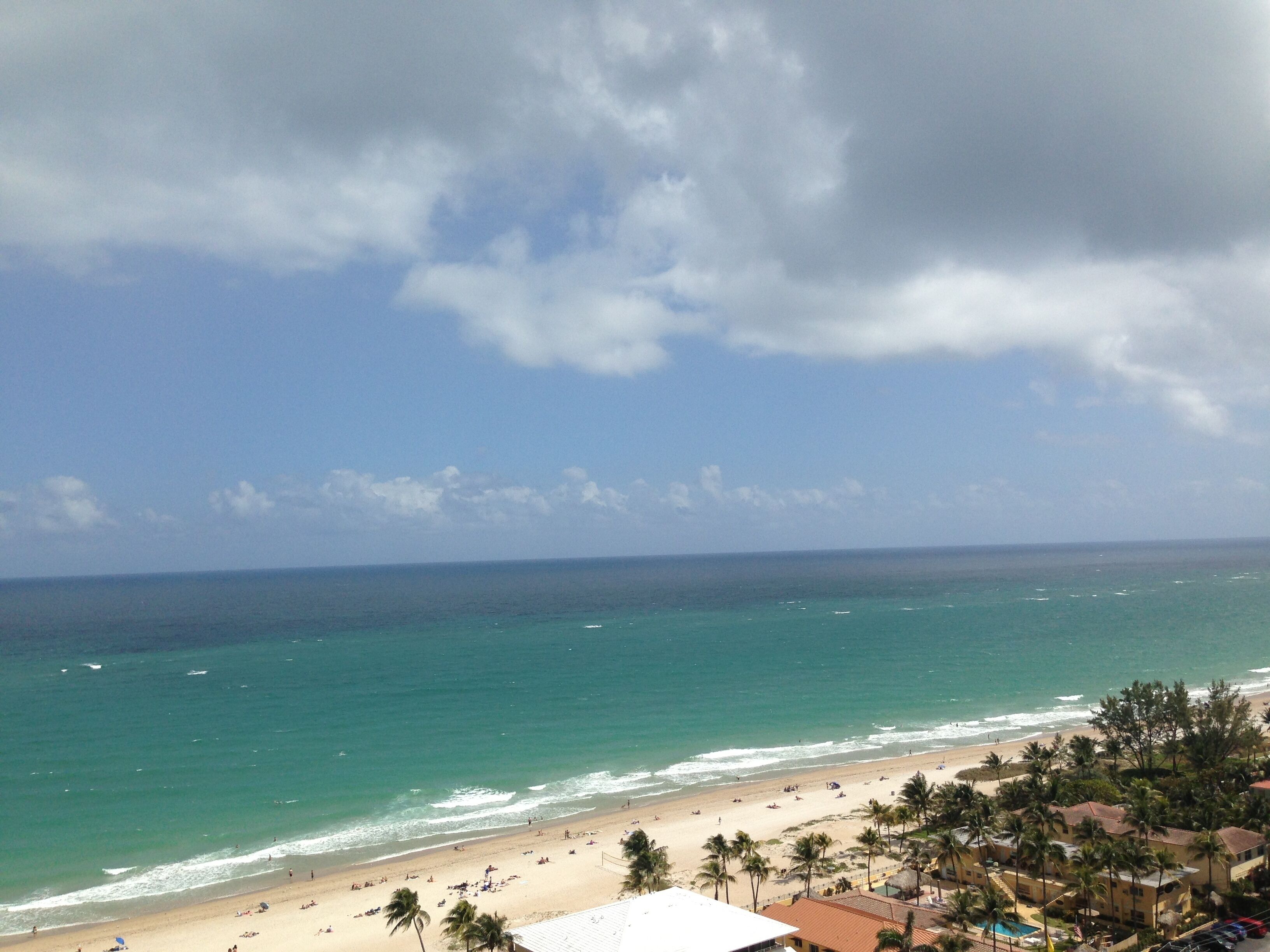 A beach with clear skies, a sandy shore, and palm trees.