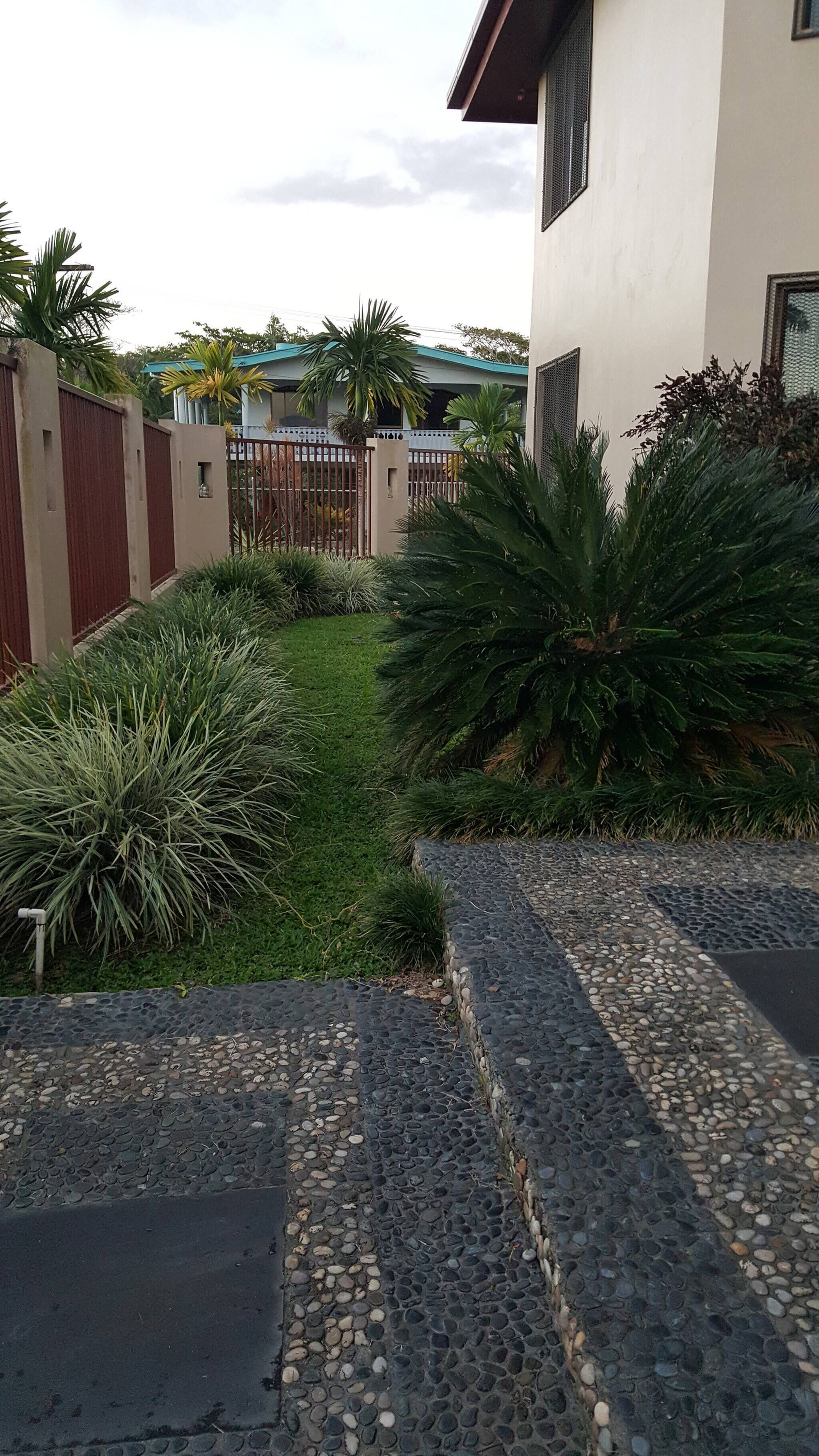 A landscaped garden with a paved pathway leading to a building.