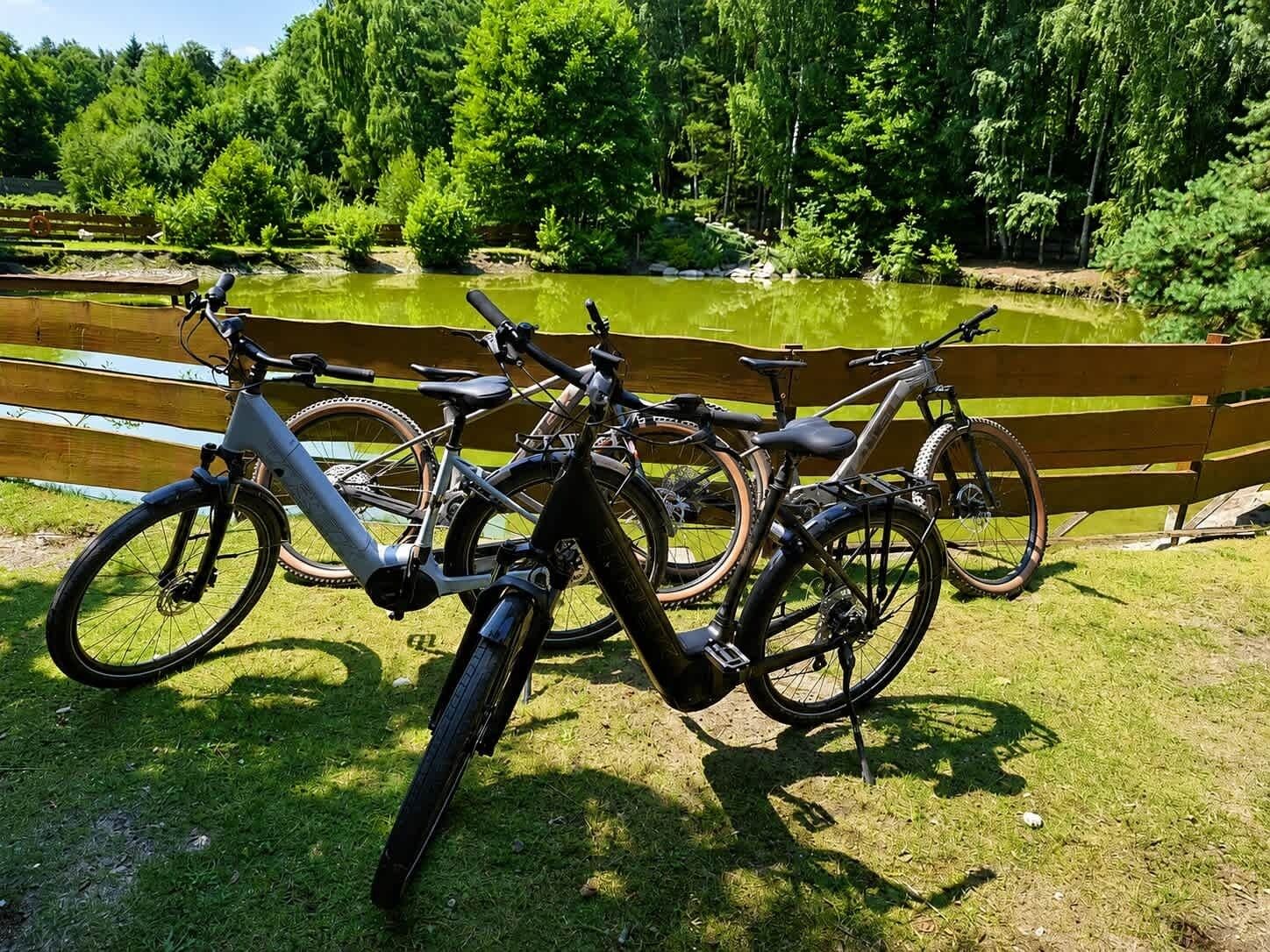 Des vélos sont garés près d’un banc en bois, au bord d’un étang, avec des arbres en arrière-plan.