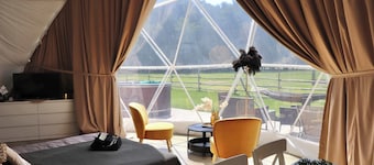 Glamp Glamour - Sauna, Hot Tub & Alpacas