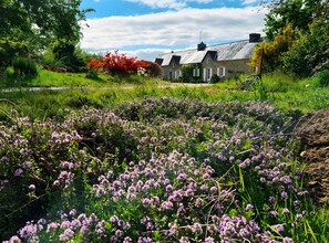 Terrain de l’hébergement