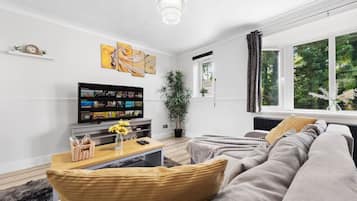 Fernseher