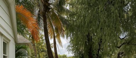 Terrain de lâhĂ©bergement
