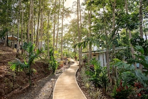 A pathway through a tropical garden with tall trees and various plants. - Peaceful Jungle Bungalow near La Fortuna / Nature, Pool & Relaxation / Orchidea (San Ramón de Ciudad Quesada)