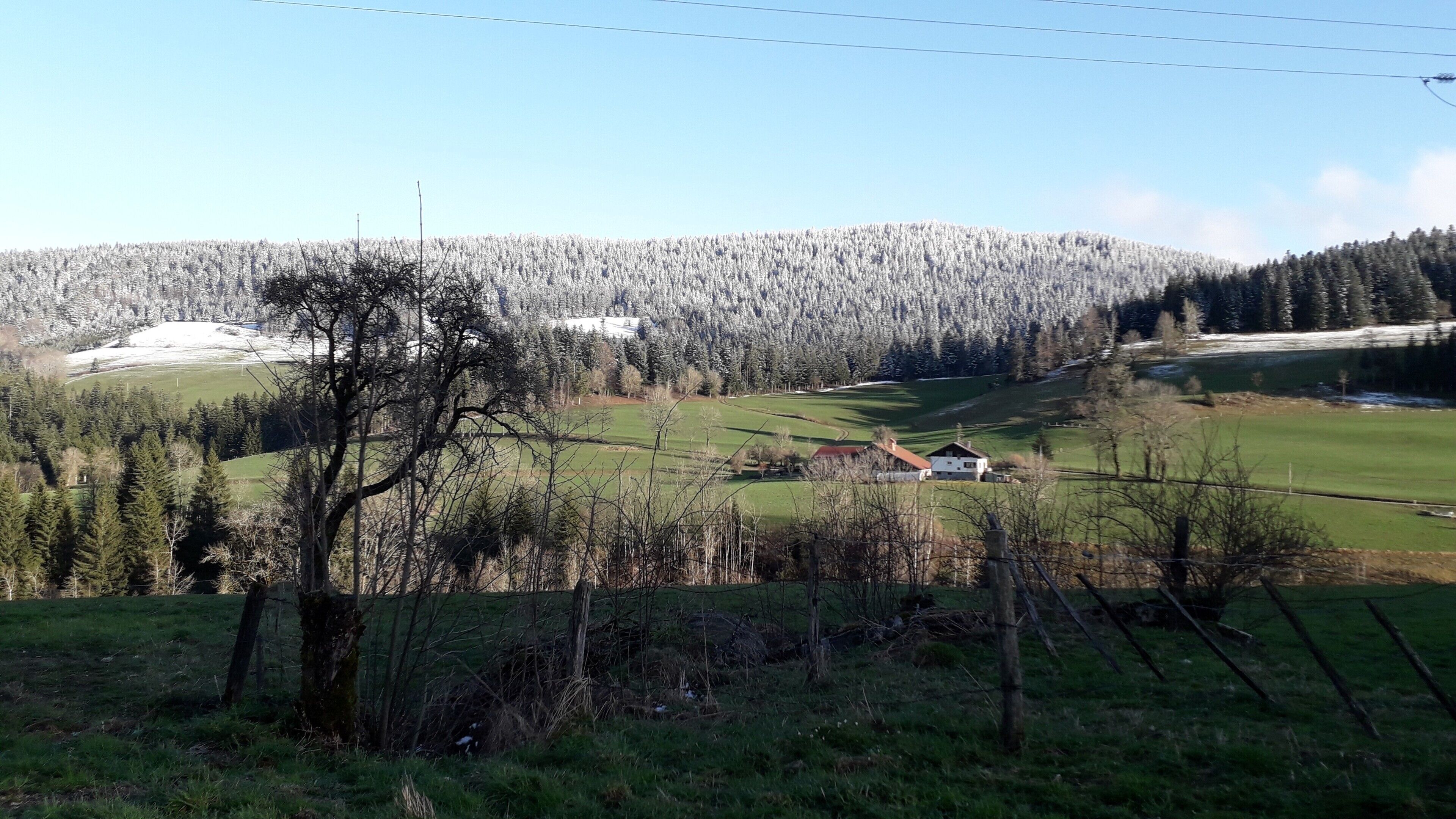 Paisagem rural com uma casa rodeada por campos e uma colina arborizada.