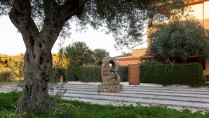 Una escultura de piedra en un área ajardinada, con un árbol y un edificio al fondo.