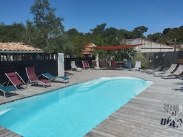 Une piscine rectangulaire, dotée de chaises longues et d’une terrasse en bois.