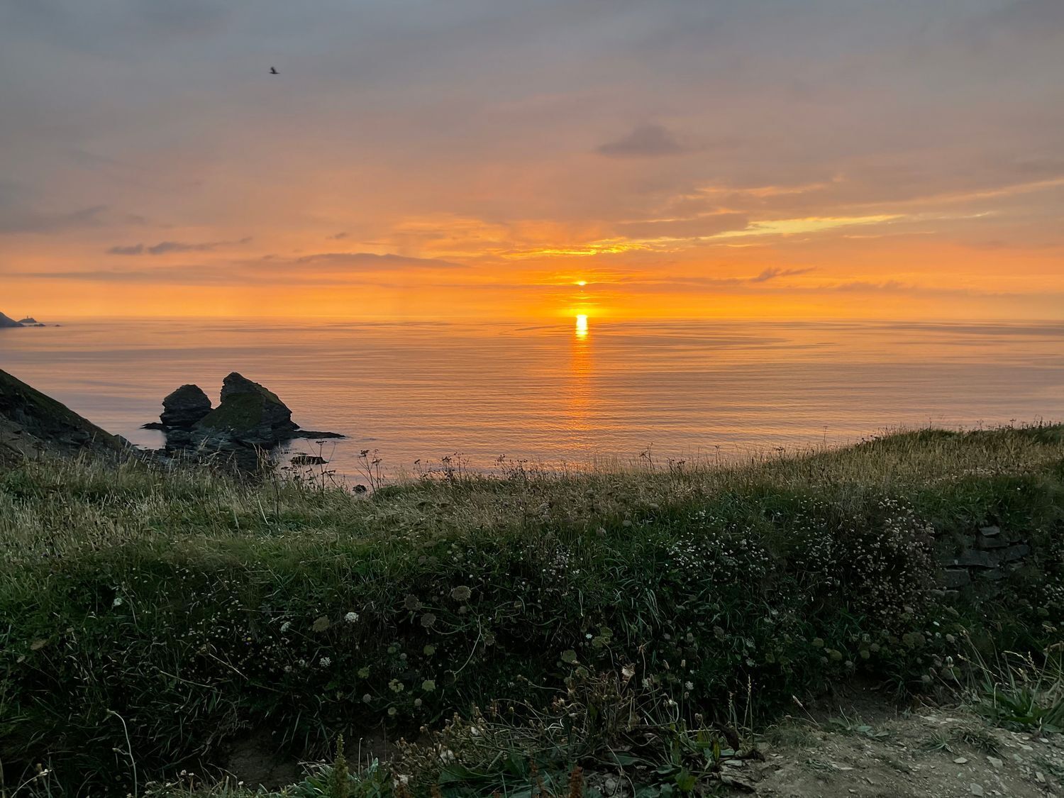 Un coucher de soleil sur un paysage côtier, avec des affleurements rocheux et un premier plan herbeux.