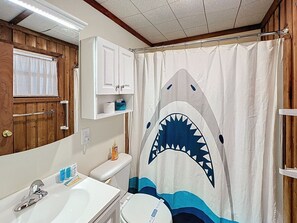 Hair dryer, towels - Near Lake Louisa State Park (Clermont)