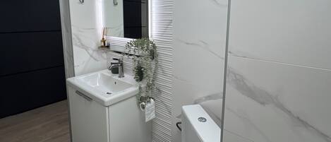 Douche, séchoir à cheveux, serviettes fournies, savon