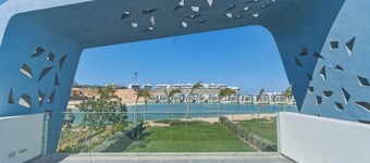 BirdNest At Fouka Bay