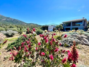 Áreas de la propiedad