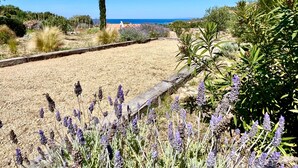 Un jardín con lavanda, un sendero de madera y vista al mar.