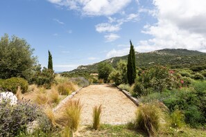 A pathway leading through a garden with various plants and a mountain in the background.