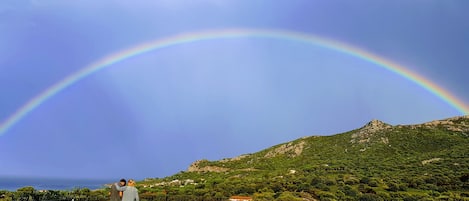 Alberca