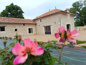 A building with a tiled roof and stone walls, a paved area in front, and a flower in the foreground.