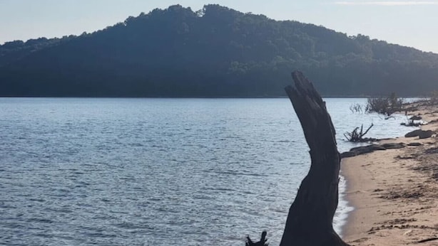 Une plage avec un tronc d’arbre mort bien visible, une eau calme et une montagne qui se profile à l’horizon.