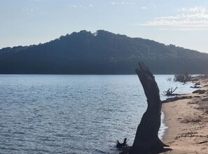 Uma praia com um tronco de árvore seca em destaque, águas calmas e uma montanha ao longe.