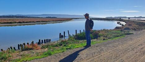 A person standing by a calm river with a fence and distant hills.