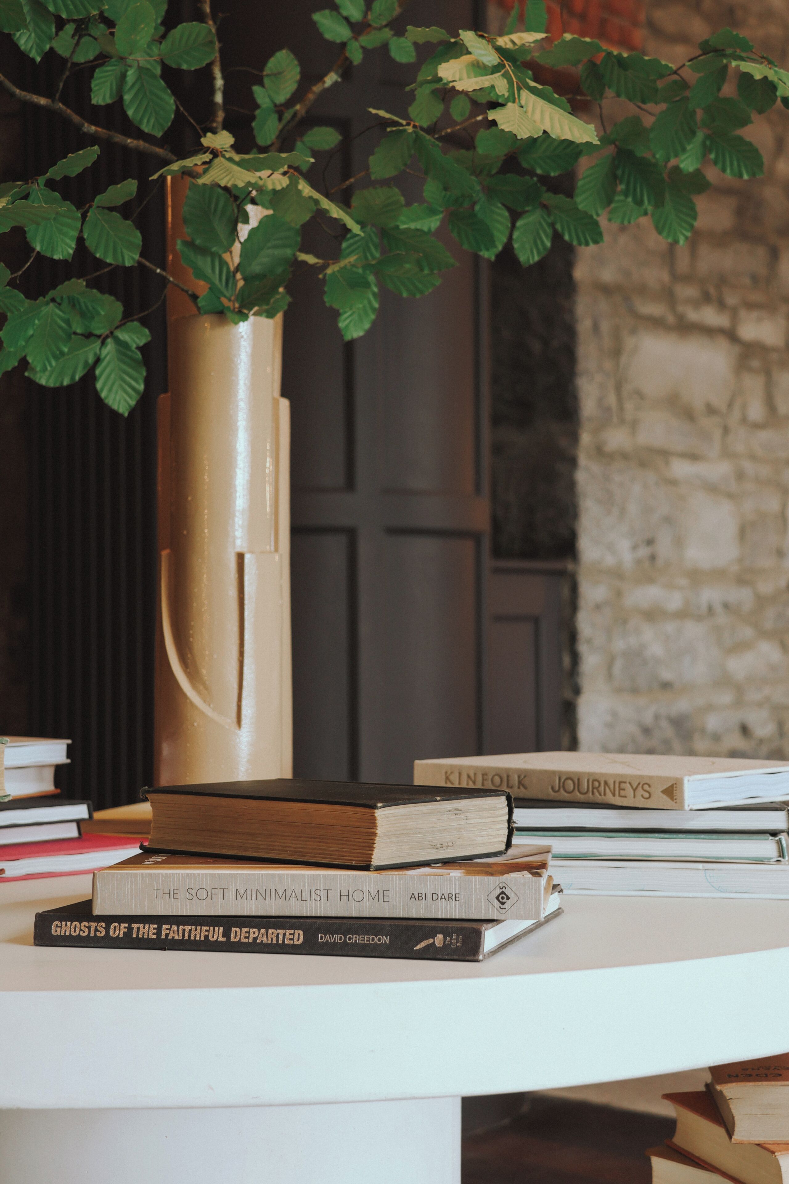 Une pile de livres sur une surface blanche, avec une plante en arrière-plan.