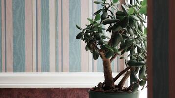 A potted plant on a windowsill with striped wallpaper.