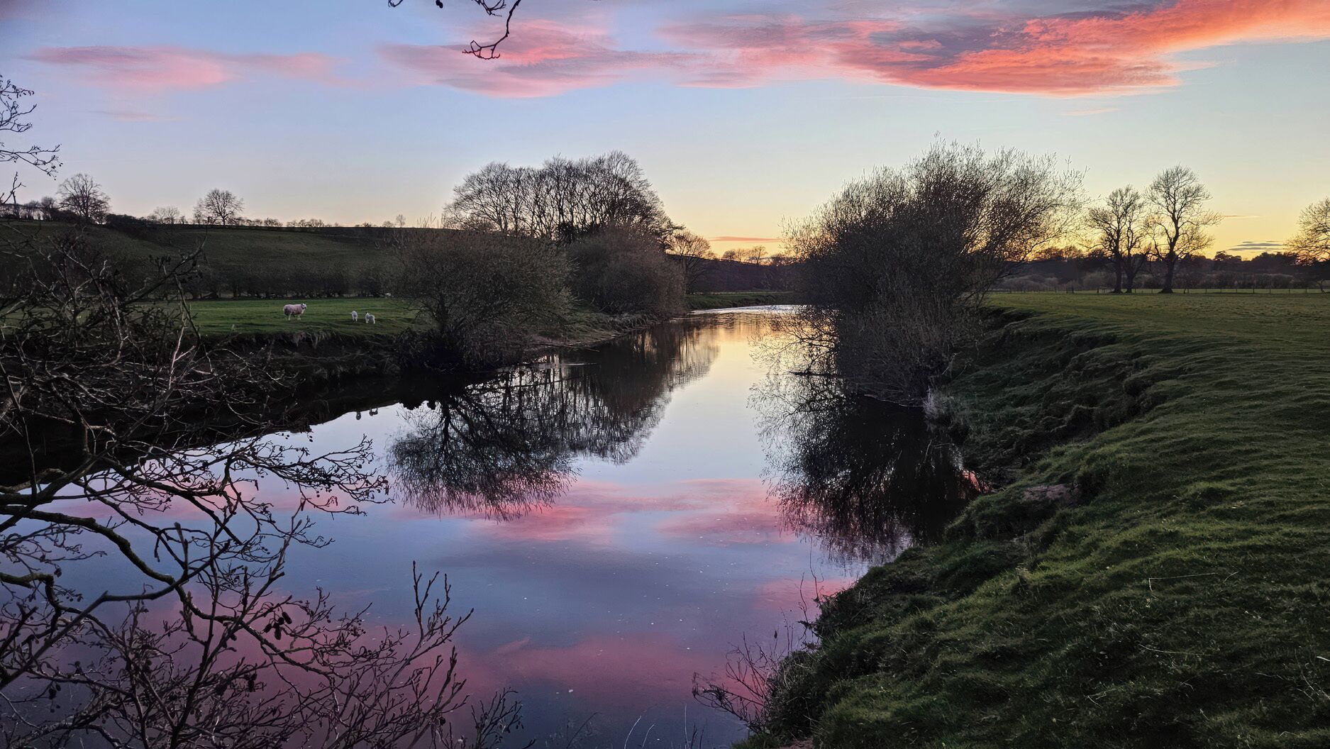 Ein ruhiger Fluss mit Bäumen an beiden Ufern, einer grasbewachsenen Uferböschung und wolkenlosem Himmel.