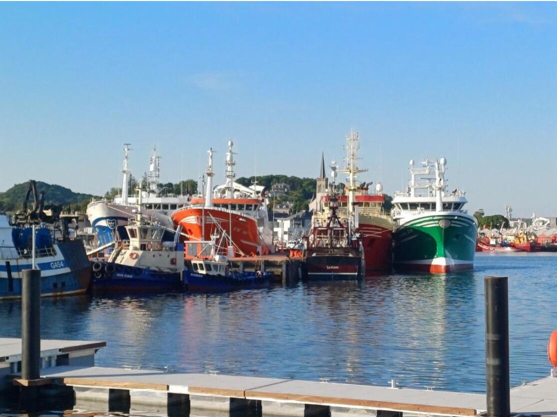 A marina with several boats docked.