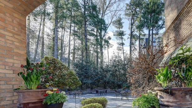 A patio area with potted plants, outdoor furniture, and a view of tall trees. - Historic Biltmore Village Retreat | 2 King En-Suites | Fireplace | Pets Welcome (Asheville)